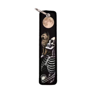 FULL MOON - FLIGHT TAG